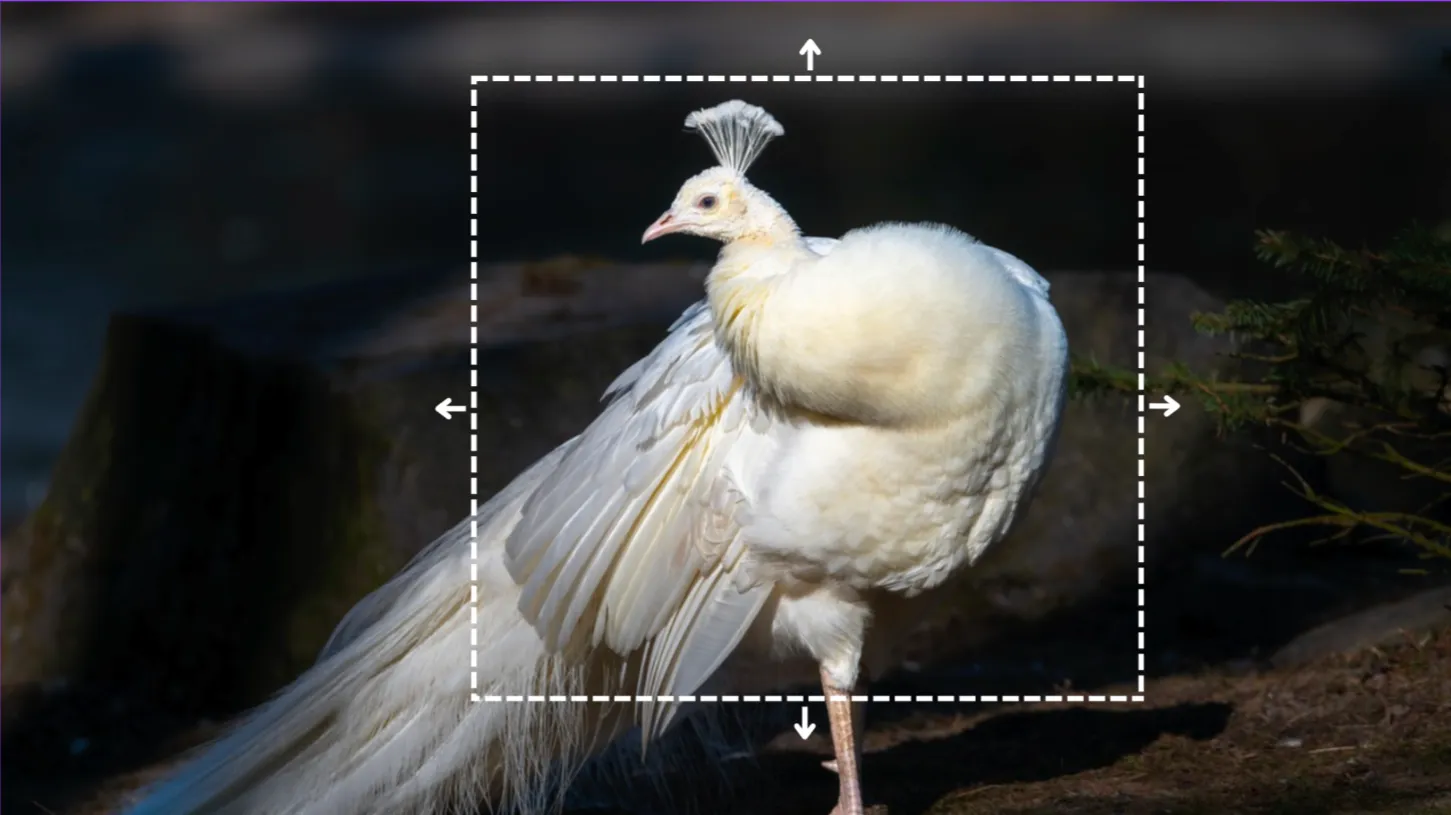 AI expand image
